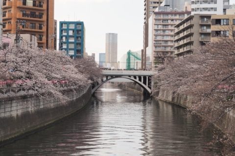 入居シーズン後の空室は値下げが正解？ 空室対策の原則とは