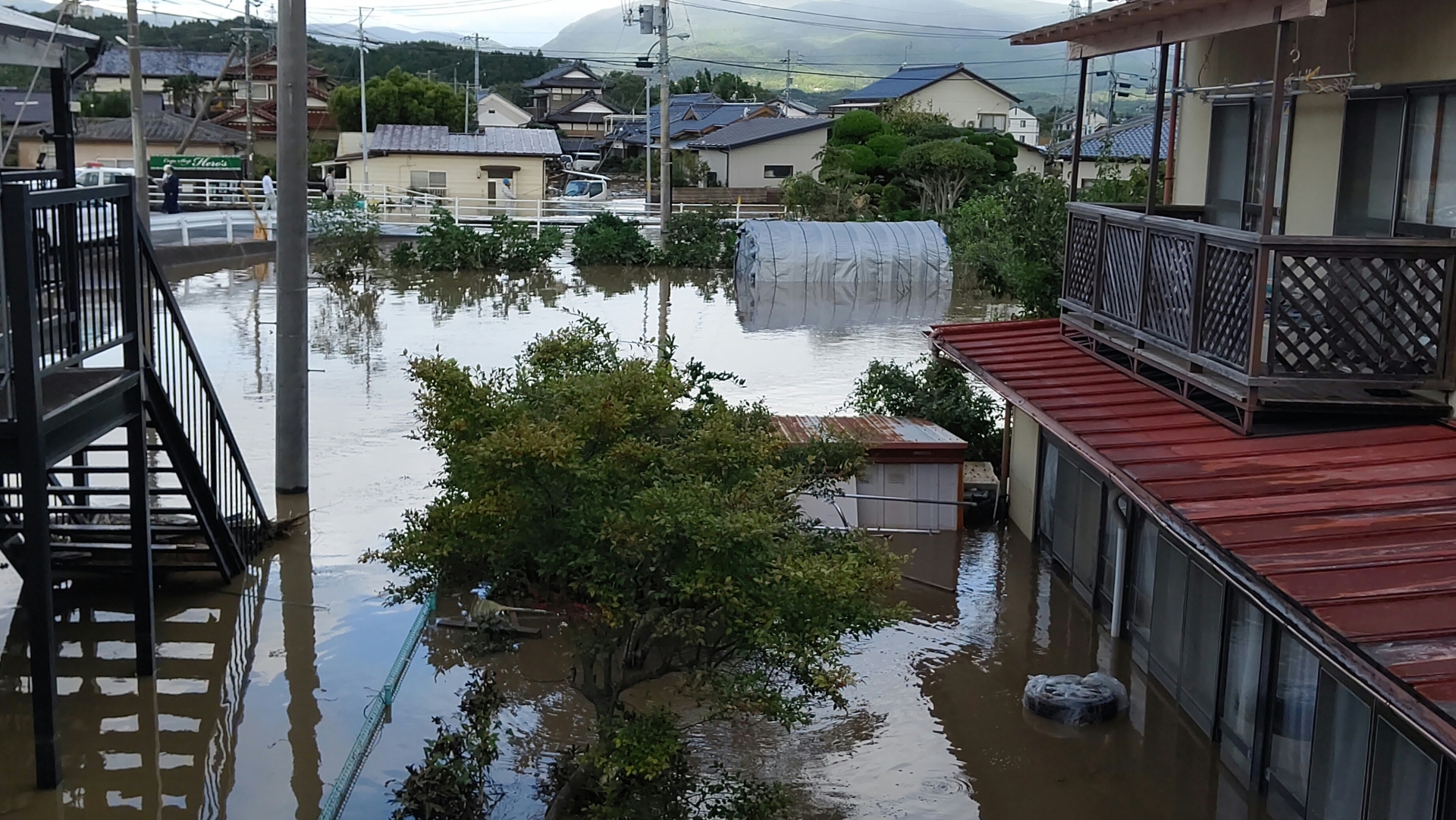 地震保険