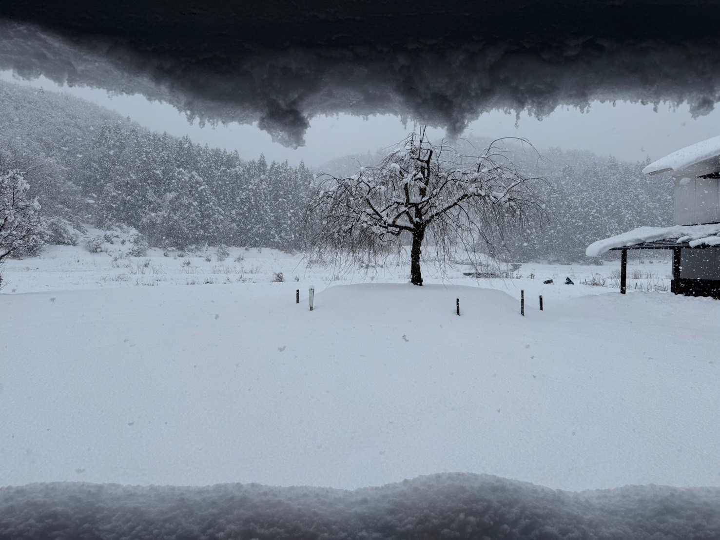 雪だるま